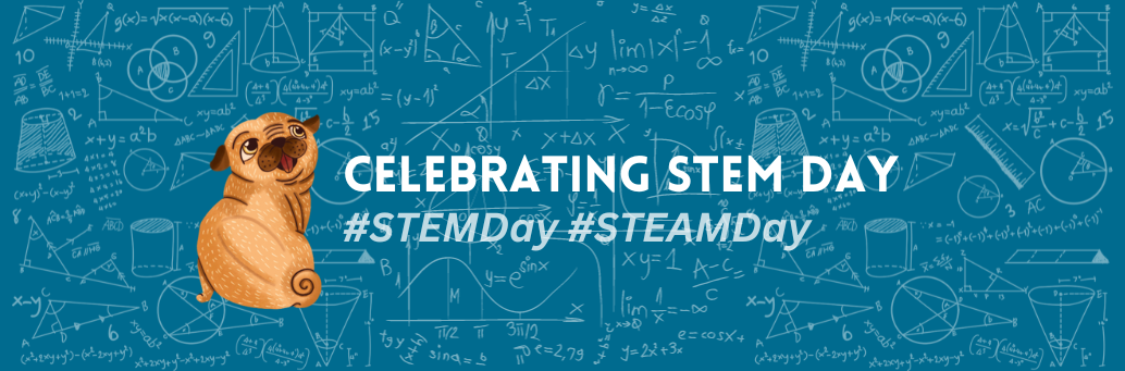Stem Day Examples Celebrating STEM Day – Alison D. Stegert