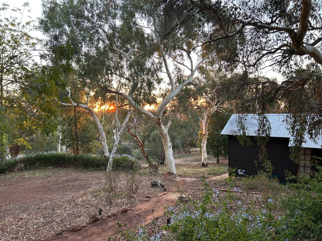 KSP Writers Centre Perth Sunset